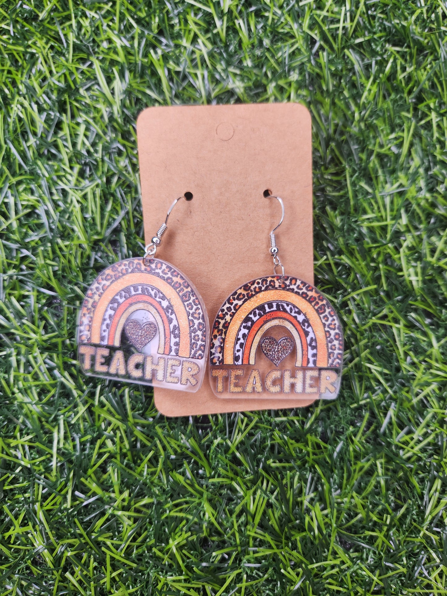 Teacher Rainbow Leppard